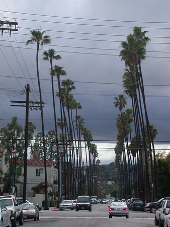 168.  Finley Avenue, Los Angeles