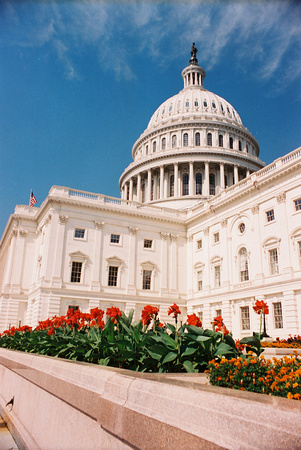 129.  US Capitol