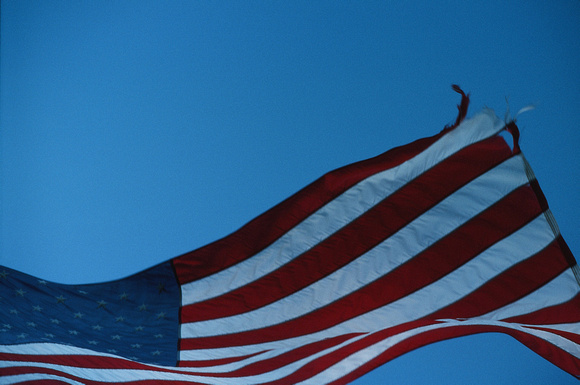 145. American Flag #2