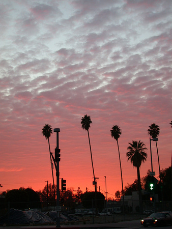114. Sunset, North Hollywood