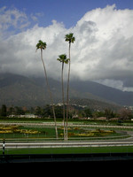 10. Santa Anita Race Track