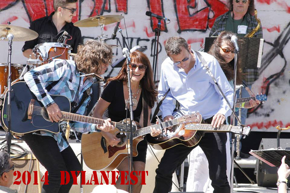 2014 Dylanfest