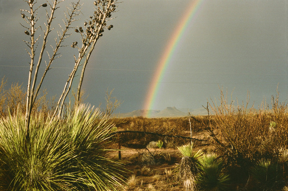 141. New Mexico Rainbow,  Horizontal