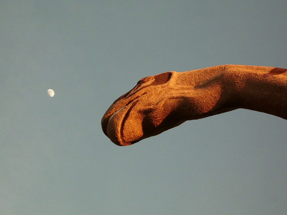 163. Brontosaurus and Moon